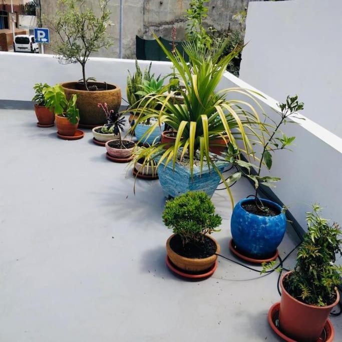 "Casa Jasmin" 14 Calle Medina Quesada Tazacorte Luaran gambar
